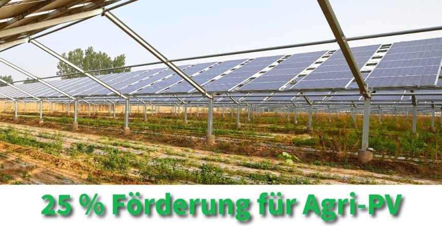 Agri-PV-Förderung